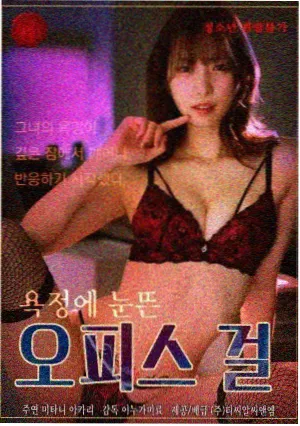 双面委托人 海报